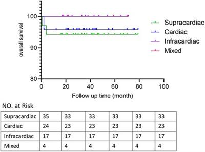 Total anomalous pulmonary venous connection in 80 patients: Primary sutureless repair and outcomes